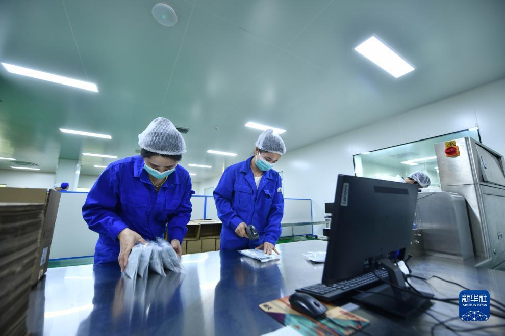 js金沙城